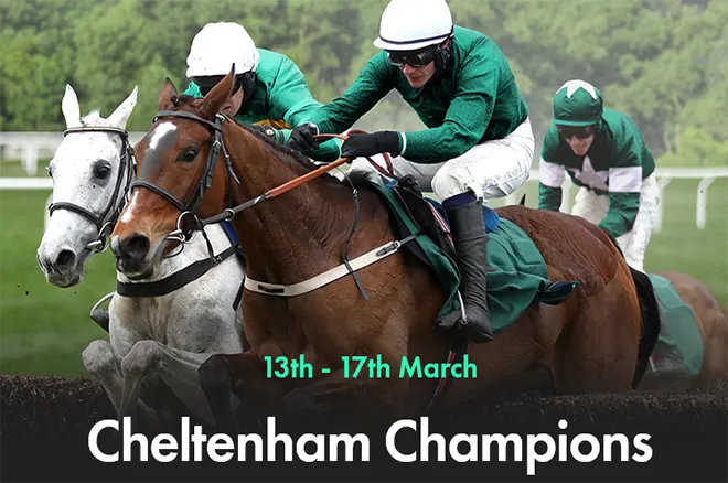 bet365 poker cheltenham champions
