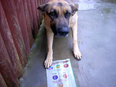 Vou Processar a FLOP 103