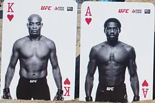 Anderson Silva & Jared Cannonier - UFC 237