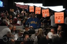 Les paris sportifs : le pire ennemi de votre bankroll poker, par Dr Pauly 0001