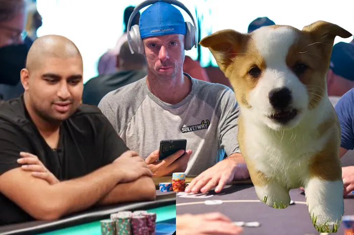 matt berkey poker feud