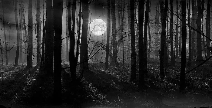 All Mucked Up: 2012 World Series of Poker Day 43 Live Blog 134