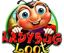 Lady Bug