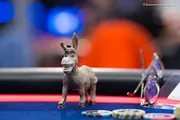 Donkey Poker: Do You Play Too Many Hands?