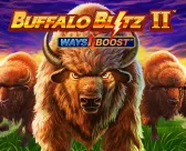 Buffalo Blitz II