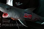 PokerNews Op-Ed: Save the Sharks