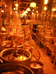 Já Chegamos a Las Vegas para as WSOP 2009! Temos Bloggggggggggggggggg 102