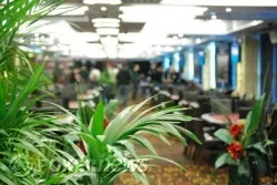 The tables during the break