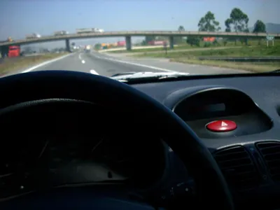 Um Dia Quase Perfeito com Brasa Pimentel 101