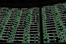 Sports Betting Terminology: Point Spread Explained