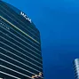 Borgata Branding