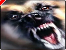 Stratégie Cash Game : Gérer l'agression sur les tables high stakes 0001