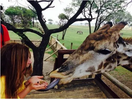 El lado más animal del WPT Sudáfrica 0001