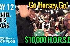 Daniel Negreanu - Vlogs