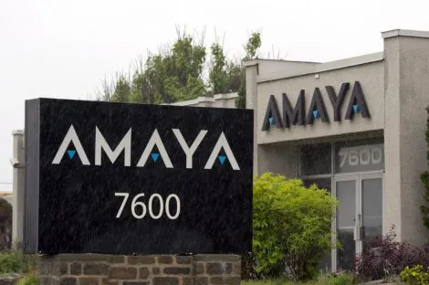 amaya