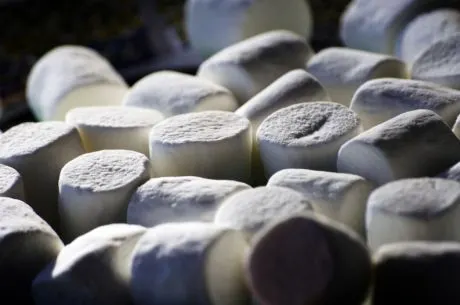 Psychological Habits of Successful Poker Players: Self-Discipline