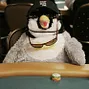 Poker penguin