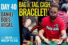 Daniel Negreanu - Vlogs