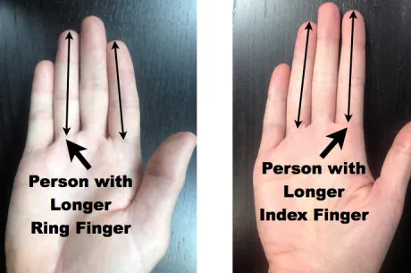 Poker, testostérone et pourquoi la taille, ça compte !