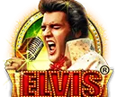 Elvis