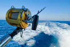 Ligne de pêche haute mer