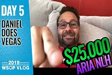 Daniel Negreanu - Vlogs