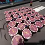 RPT chips