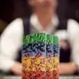 World Series of Poker (WSOP 2010) : 64.544 joueurs, record battu 101