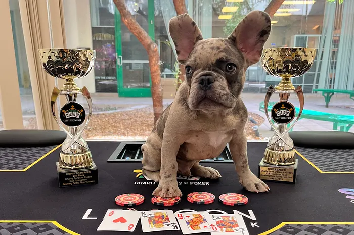 Charity Series of Poker