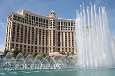 vegas grinder