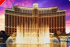 andy beal vs la corporation