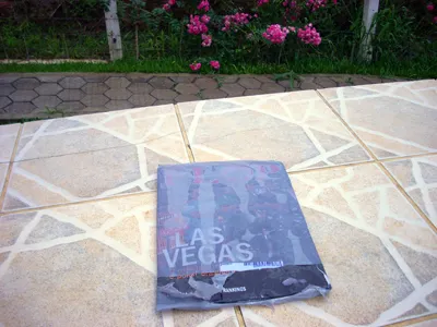 Vou Processar a FLOP 101