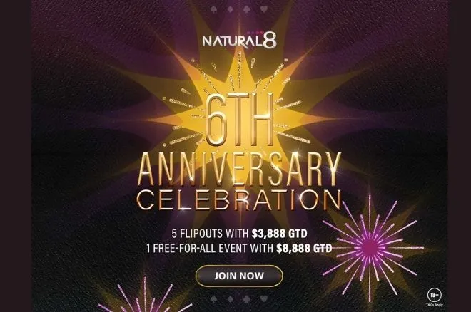 Natural8 Anniversary