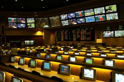 Stratégie Paris sportifs : les conseils de base d’un pro