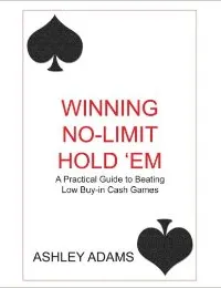 Winning No-Limit Hold 'Em