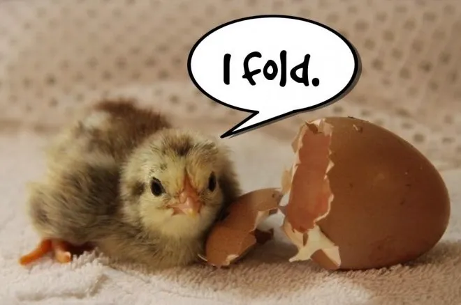 Tommy Angelo Presents: On the Origin of Tightness