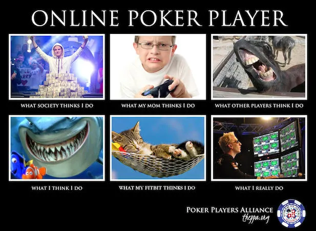 Gagnez votre place pour le WSOP Colossus 2016 en créant un meme poker 103