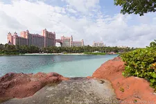 main event pokerstars caribbean adventure 2018