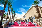 WSOP Rio