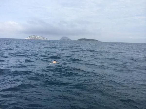 Sorel Mizzi Ganha Prop Bet e Nada Até à Ilha das Palmas (5km) 101