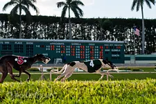 Palm Beach Kennel Club