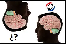 poker psicologia estrategia