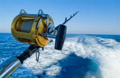 Ligne de pêche haute mer