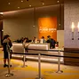 Borgata Branding 