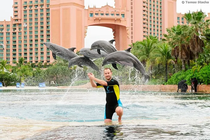 Encore des dauphins pour Lukas Jebavy