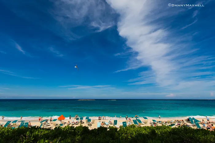 La Maison Du Bluff : Le Best Of de la première semaine 0001