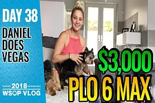 Daniel Negreanu - Vlogs