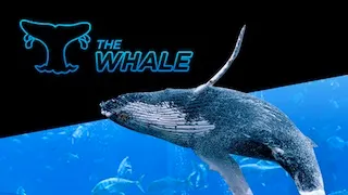 Plan Your Sunday Strategy with 888poker's Tournament Line-Up 102