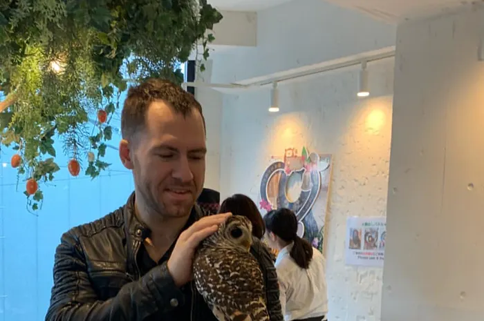 Daniel "junglemandan" Cates visited Tokyo and roasted Dan Bilzerian on Twitter.