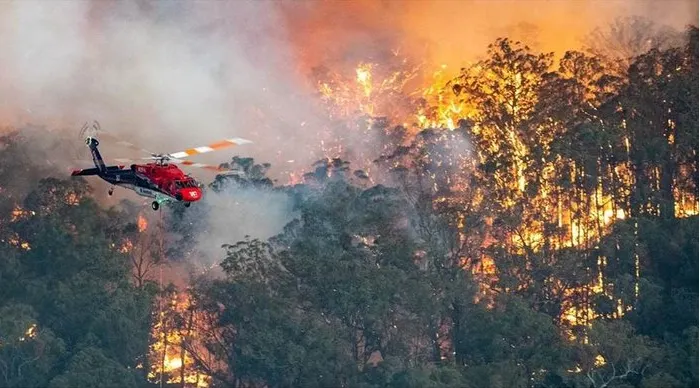 Raising money for Australian bushfires